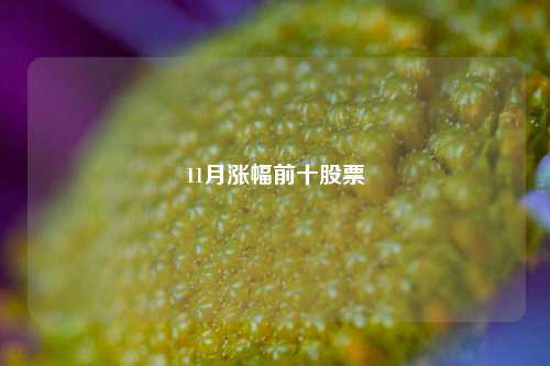 11月涨幅前十股票