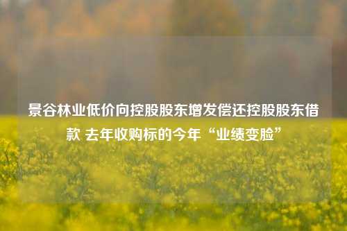 景谷林业低价向控股股东增发偿还控股股东借款 去年收购标的今年“业绩变脸”