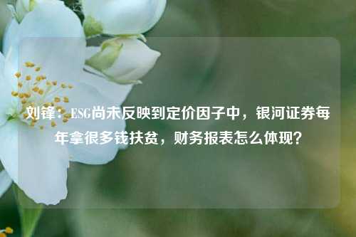 刘锋：ESG尚未反映到定价因子中，银河证券每年拿很多钱扶贫，财务报表怎么体现？