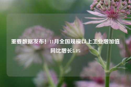 重要数据发布！11月全国规模以上工业增加值同比增长5.4%