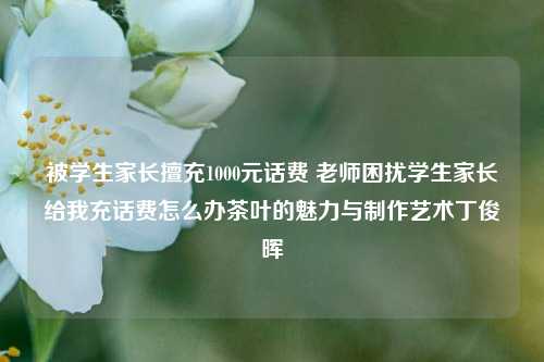 被学生家长擅充1000元话费 老师困扰学生家长给我充话费怎么办茶叶的魅力与制作艺术丁俊晖