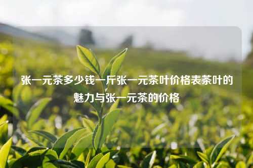 张一元茶多少钱一斤张一元茶叶价格表茶叶的魅力与张一元茶的价格