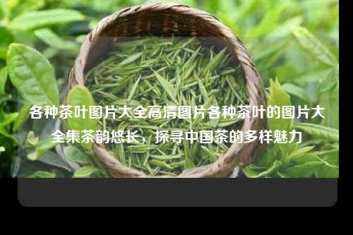 各种茶叶图片大全高清图片各种茶叶的图片大全集茶韵悠长，探寻中国茶的多样魅力