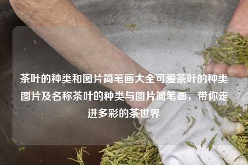 茶叶的种类和图片简笔画大全可爱茶叶的种类图片及名称茶叶的种类与图片简笔画，带你走进多彩的茶世界