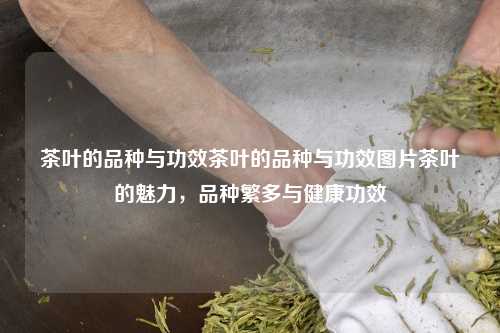 茶叶的品种与功效茶叶的品种与功效图片茶叶的魅力，品种繁多与健康功效