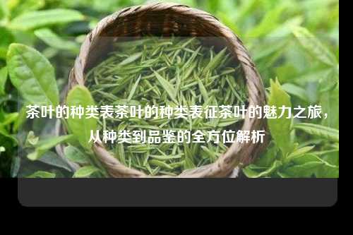 茶叶的种类表茶叶的种类表征茶叶的魅力之旅，从种类到品鉴的全方位解析