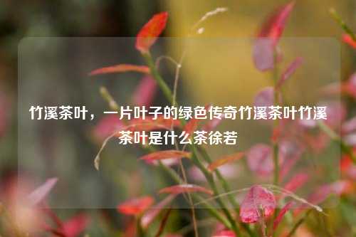 一片碧叶溢出来的悠然的历史花香： 竹溪茶叶