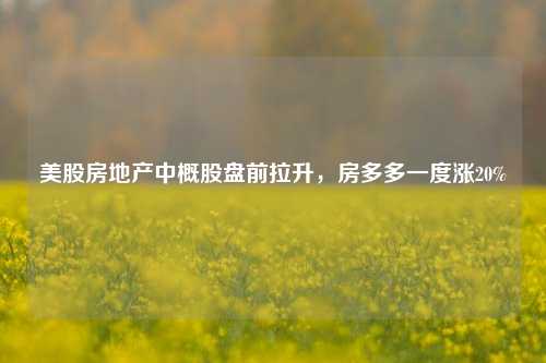 美股房地产中概股盘前拉升，房多多一度涨20%