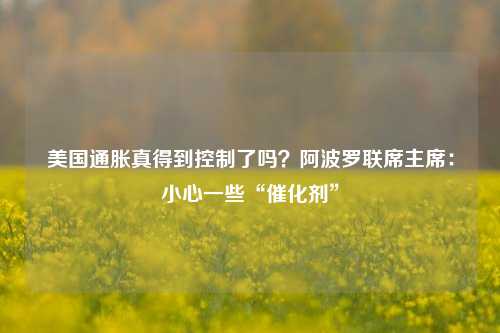 美国通胀真得到控制了吗？阿波罗联席主席：小心一些“催化剂”