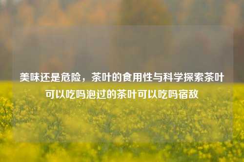 美味还是危险，茶叶的食用性与科学探索茶叶可以吃吗泡过的茶叶可以吃吗宿敌