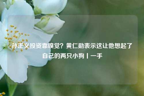 孙正义投资靠嗅觉？黄仁勋表示这让他想起了自己的两只小狗丨一手