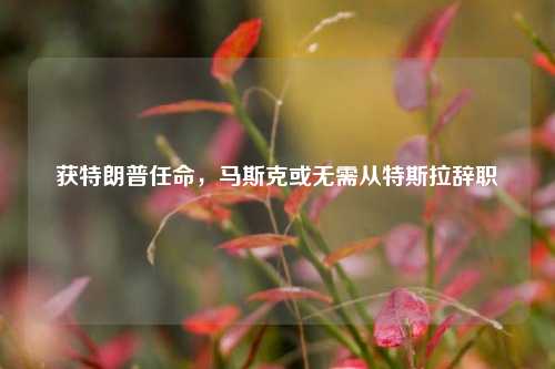 获特朗普任命，马斯克或无需从特斯拉辞职