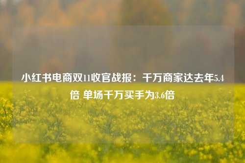 小红书电商双11收官战报：千万商家达去年5.4倍 单场千万买手为3.6倍