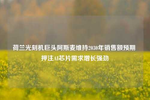 荷兰光刻机巨头阿斯麦维持2030年销售额预期 押注AI芯片需求增长强劲