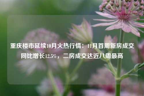 重庆楼市延续10月火热行情：11月首周新房成交同比增长12.5%，二房成交达近八周最高