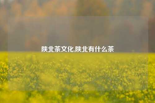 陕北茶文化,陕北有什么茶