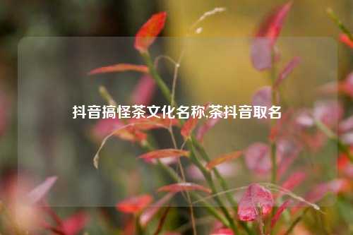 抖音搞怪茶文化名称,茶抖音取名