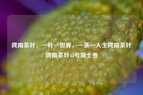 陇南茶叶系列宣传图