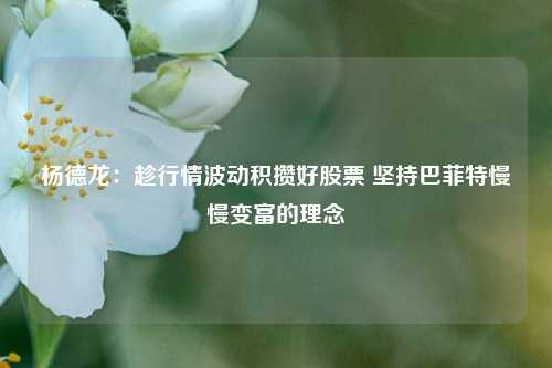 杨德龙：趁行情波动积攒好股票 坚持巴菲特慢慢变富的理念