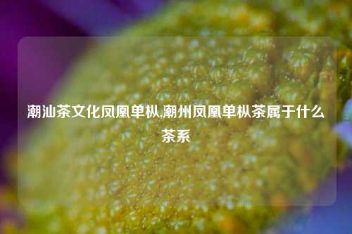 潮汕茶文化凤凰单枞,潮州凤凰单枞茶属于什么茶系