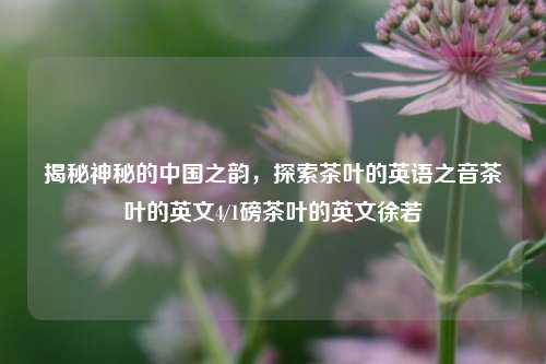 中国茶韵探秘，尽享独特魅力