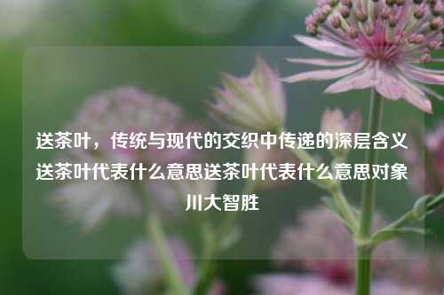 送茶叶，传统与现代的交织中传递的深层含义送茶叶代表什么意思送茶叶代表什么意思对象川大智胜