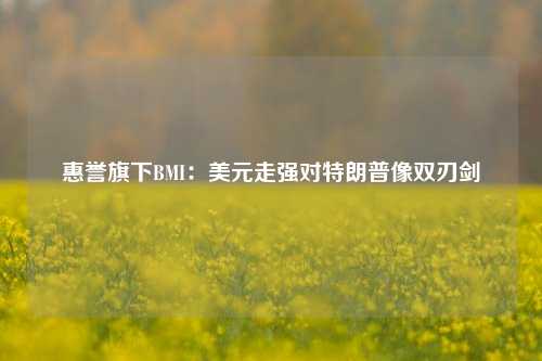 惠誉旗下BMI：美元走强对特朗普像双刃剑