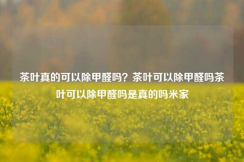 茶叶真的可以除甲醛吗？茶叶可以除甲醛吗茶叶可以除甲醛吗是真的吗米家