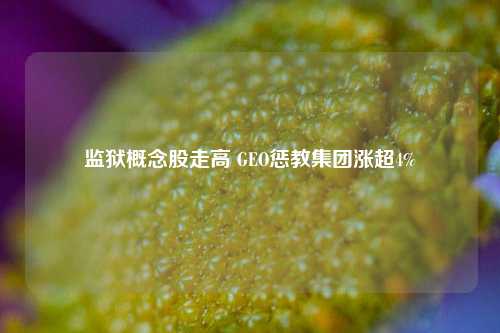 监狱概念股走高 GEO惩教集团涨超4%