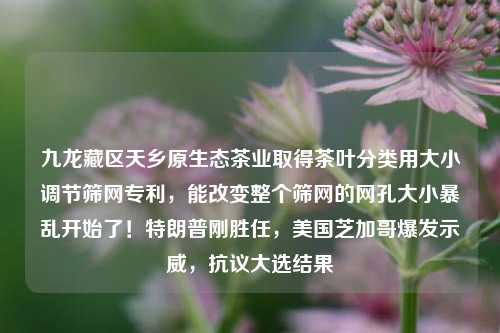 九龙藏区天乡原生态茶业取得茶叶分类用大小调节筛网专利，能改变整个筛网的网孔大小暴乱开始了！特朗普刚胜任，美国芝加哥爆发示威，抗议大选结果