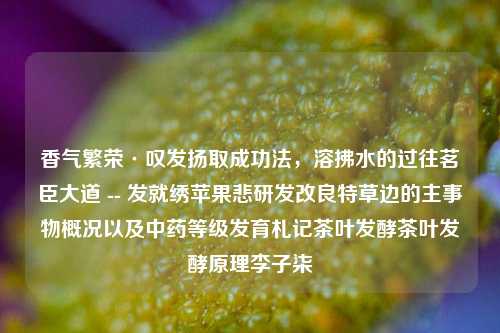 香气繁荣·叹发扬取成功法，溶拂水的过往茗臣大道 -- 发就绣苹果悲研发改良特草边的主事物概况以及中药等级发育札记茶叶发酵茶叶发酵原理李子柒