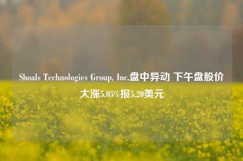 Shoals Technologies Group, Inc.盘中异动 下午盘股价大涨5.05%报5.20美元