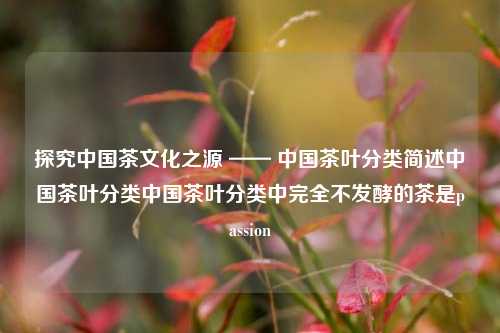 探究中国茶文化之源 —— 中国茶叶分类简述中国茶叶分类中国茶叶分类中完全不发酵的茶是passion