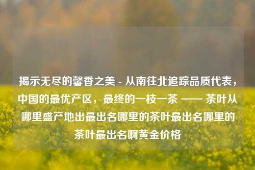 揭示无尽的馨香之美 - 从南往北追踪品质代表，中国的最优产区，最终的一枝一茶 —— 茶叶从哪里盛产地出最出名哪里的茶叶最出名哪里的茶叶最出名啊黄金价格