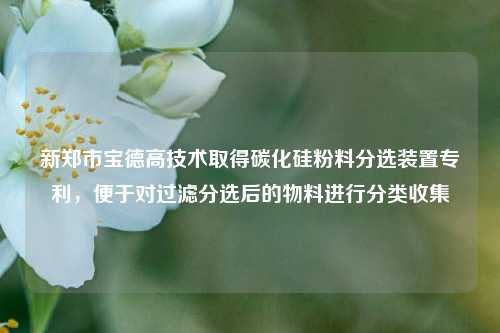 新郑市宝德高技术取得碳化硅粉料分选装置专利，便于对过滤分选后的物料进行分类收集