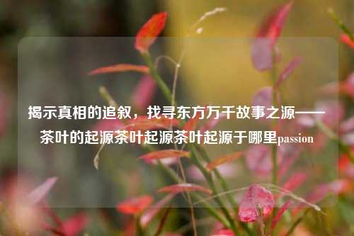 揭示真相的追叙，找寻东方万千故事之源——茶叶的起源茶叶起源茶叶起源于哪里passion