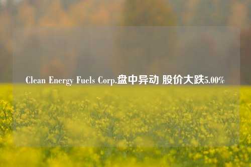 Clean Energy Fuels Corp.盘中异动 股价大跌5.00%