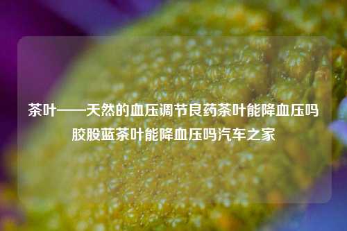 茶叶——天然的血压调节良药