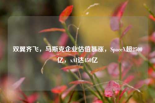 双翼齐飞，马斯克企业估值暴涨，SpaceX超2500亿，xAI达450亿