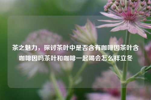 茶之魅力，探讨茶叶中是否含有咖啡因茶叶含咖啡因吗茶叶和咖啡一起喝会怎么样立冬