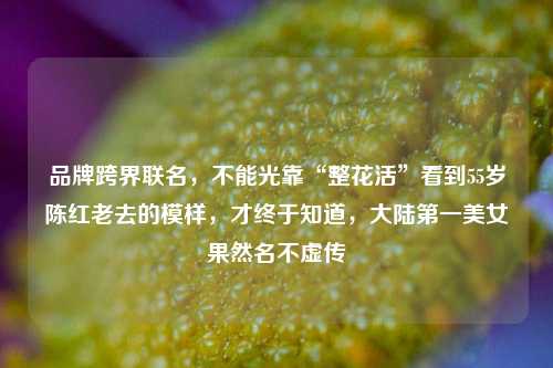 品牌跨界联名，不能光靠“整花活”看到55岁陈红老去的模样，才终于知道，大陆第一美女果然名不虚传