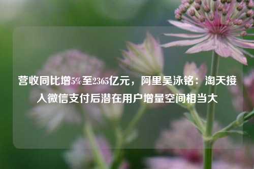 营收同比增5%至2365亿元，阿里吴泳铭：淘天接入微信支付后潜在用户增量空间相当大