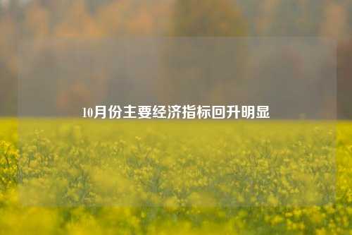 10月份主要经济指标回升明显