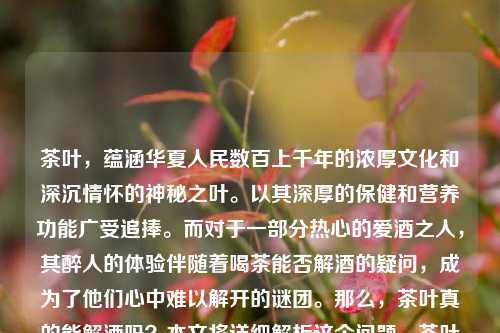 茶叶，蕴涵华夏人民数百上千年的浓厚文化和深沉情怀的神秘之叶。以其深厚的保健和营养功能广受追捧。而对于一部分热心的爱酒之人，其醉人的体验伴随着喝茶能否解酒的疑问，成为了他们心中难以解开的谜团。那么，茶叶真的能解酒吗？本文将详细解析这个问题。茶叶能解酒吗喝醉酒喝茶叶能解酒吗朱珠