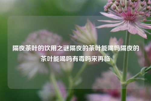 隔夜茶叶的探究与养生奥秘