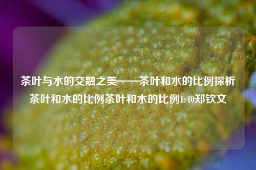 茶叶与水的交融之美——茶叶和水的比例探析茶叶和水的比例茶叶和水的比例1:40郑钦文