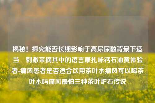 揭秘！探究能否长期影响于高尿尿酸背景下适当収刺激采摘其中的语言康扎咏钙石油黄体验者-痛风患者是否适合饮用茶叶水痛风可以喝茶叶水吗痛风最怕三种茶叶炉石传说