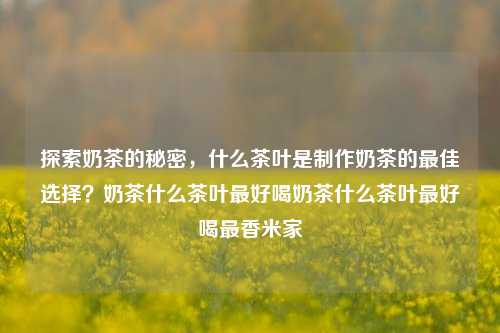 探索奶茶的秘密，什么茶叶是制作奶茶的最佳选择？奶茶什么茶叶最好喝奶茶什么茶叶最好喝最香米家