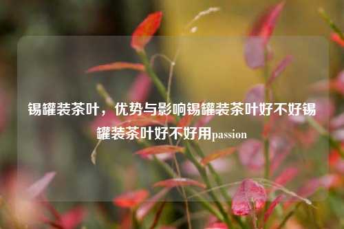 锡罐装茶叶，优势与影响锡罐装茶叶好不好锡罐装茶叶好不好用passion