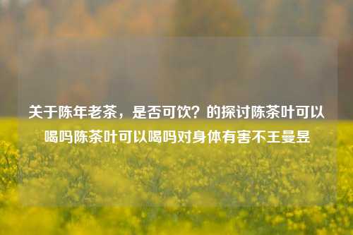 关于陈年老茶，是否可饮？的探讨陈茶叶可以喝吗陈茶叶可以喝吗对身体有害不王曼昱